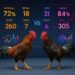 Ilustrasi Memahami Statistik Pertandingan Sabung Ayam Online dengan Cerdas